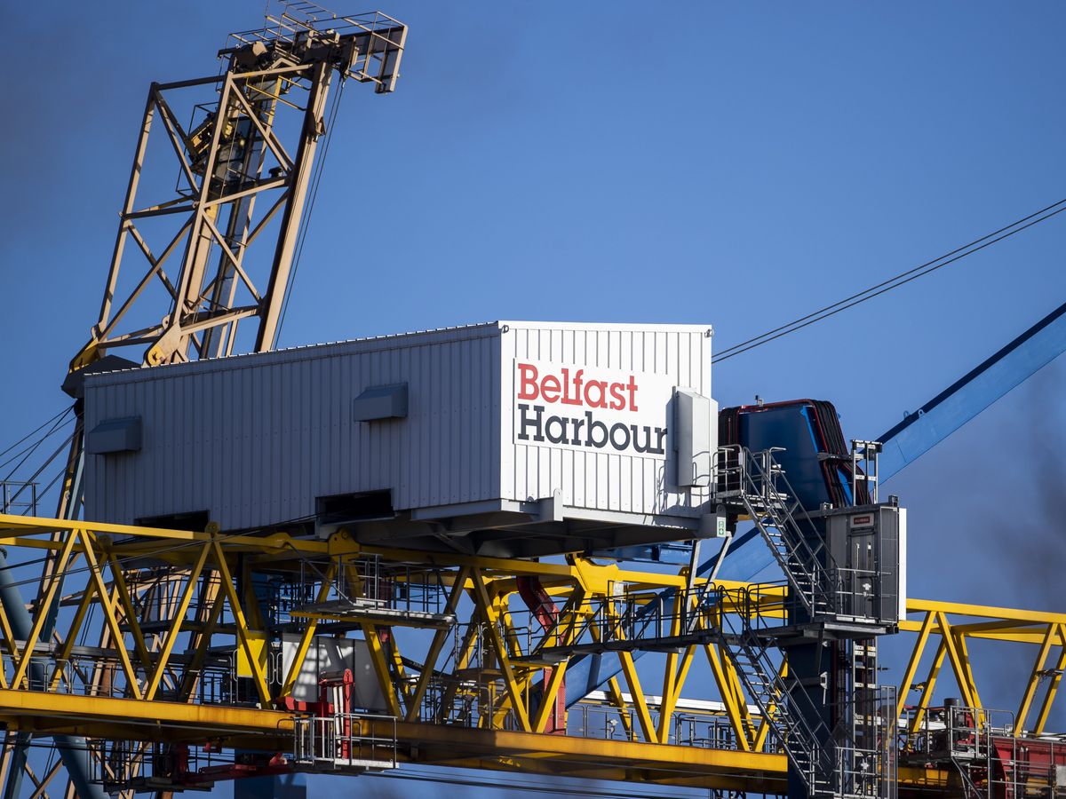 Supporting image for story: Concern over end to NI grace period on post-Brexit vet medicine rules