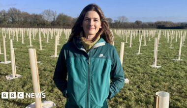 A woman with long brown hair standing in the middle of a woodland where hundreds of trees are being grown. She is wearing a blue outdoors jacket with her hands in her pockets.