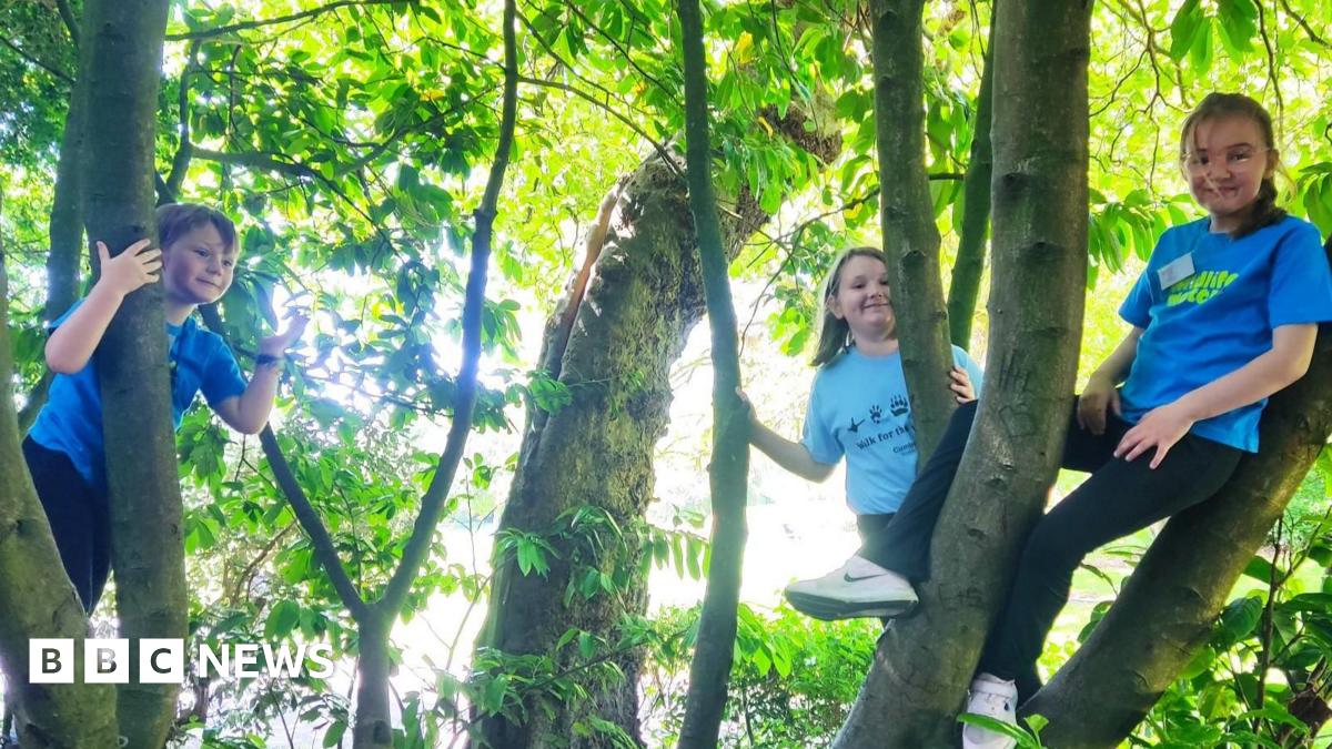 Barrow Badgers members Arthur, Millie and Lilliana smiling after they have climbed a tree. They are wearing blue T-shirts.