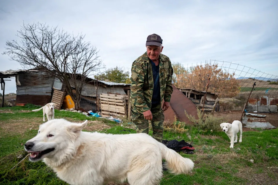 Farmer Anastasios Kasparidis stands outside his sheep pen with his three dogs in Levea village, days after a bear attack killed three of his sheep (AP)