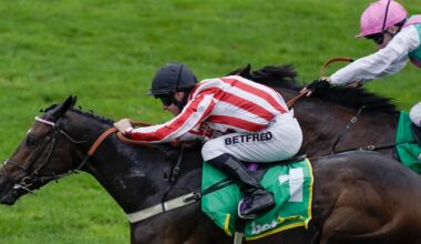 The husband and wife team picked by Bahrain's royal family to transform horse racing in the kingdom