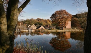 Restoring power: £1.3m revival of Sheffield’s historic Abbeydale Dam