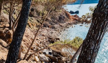 Why London buyers are deciding Ibiza is for life, not just the summer holidays