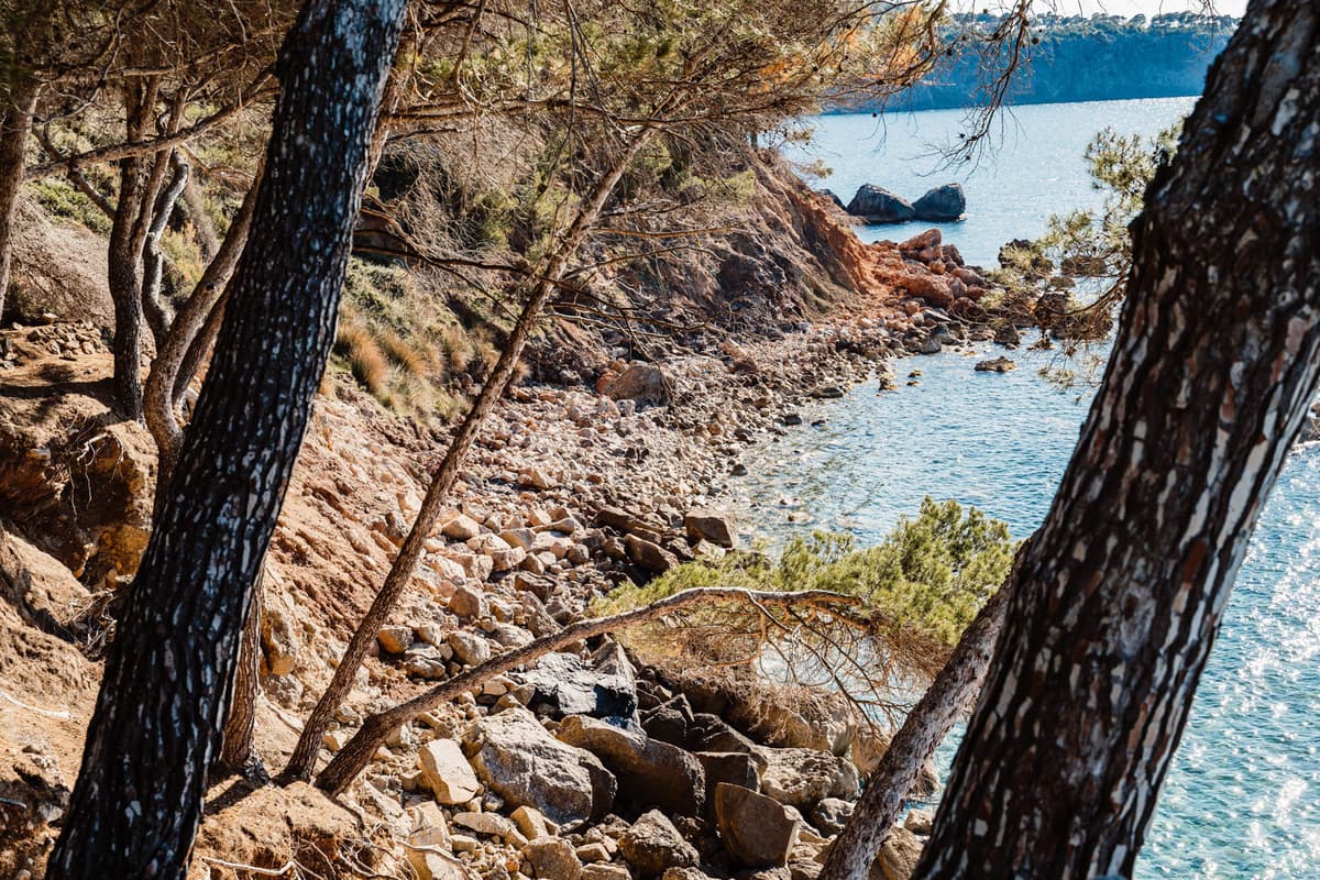 Why London buyers are deciding Ibiza is for life, not just the summer holidays