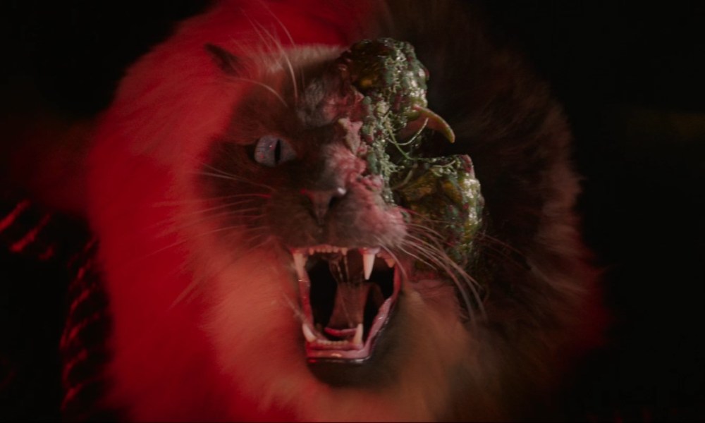 Cold Storage trailer