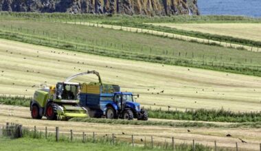 Northern Ireland’s rural women at ‘disproportionate risk’ from climate change carbon budgets, warns campaign group – The Irish News
