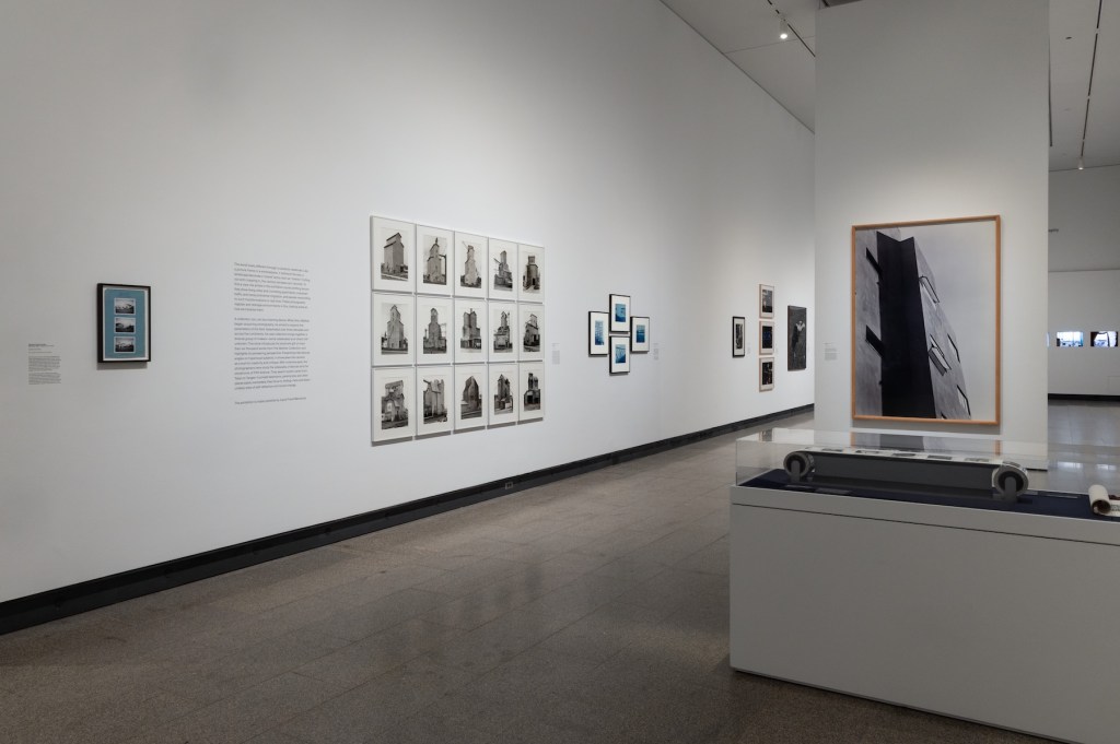 Selections from The Walther Collection”