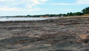 Darwin Formation Fannie Bay