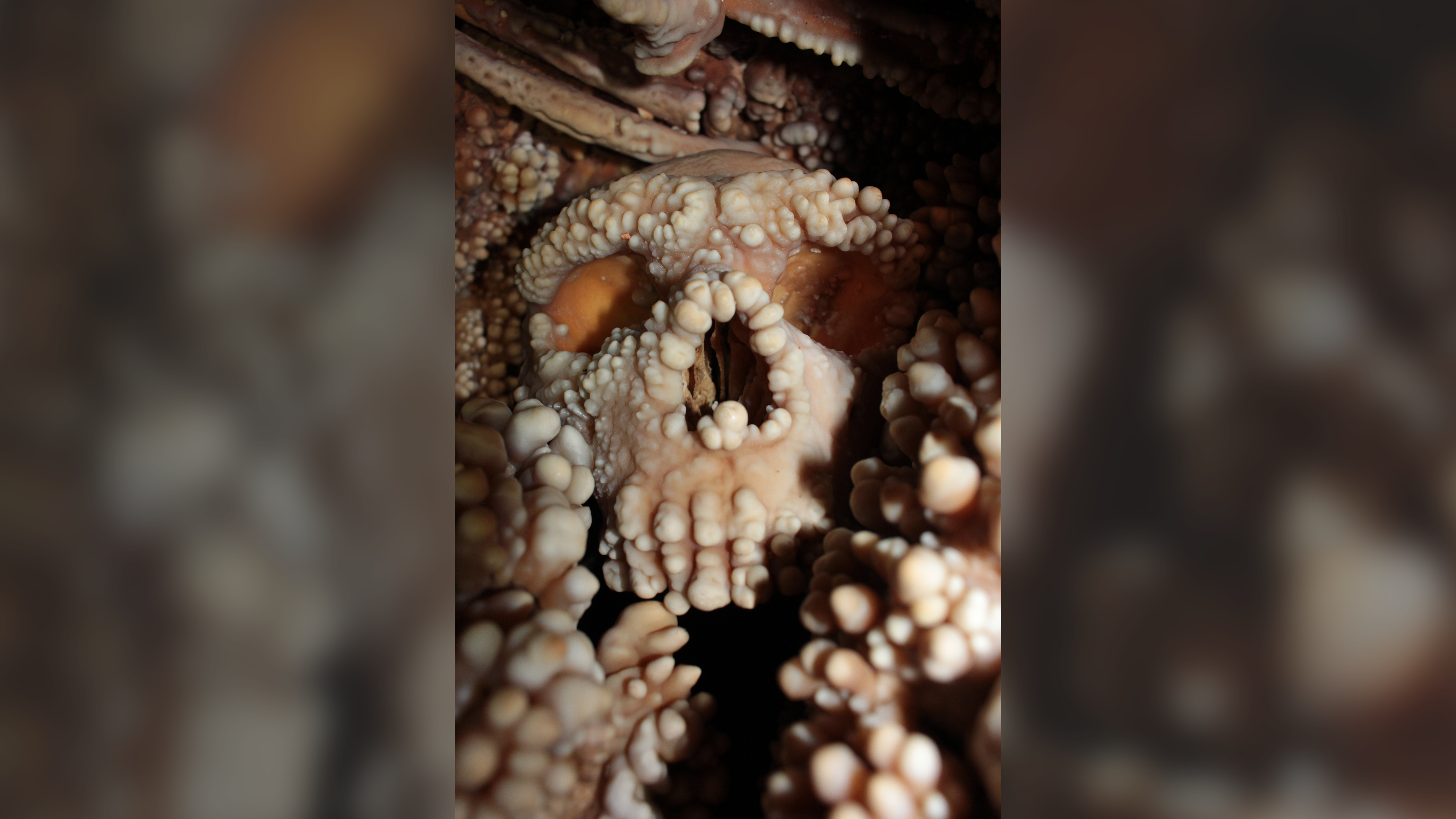 a neandertal skull in a cave