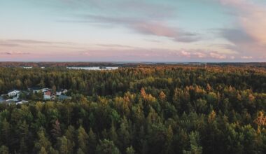 EU to Weaken Climate Target