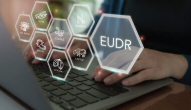 EU backs one-year delay to EUDR delay and looks at revising regulation