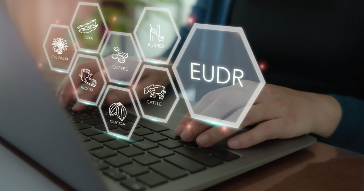 EU backs one-year delay to EUDR delay and looks at revising regulation