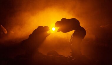 Justin Talplacido Shoulder: ANITO – Southbank Centre, London