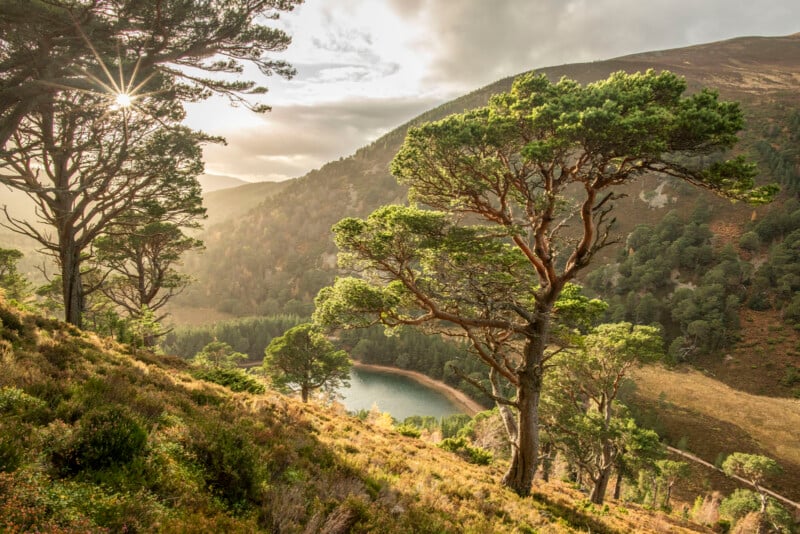 Sunlight streams through tall pine trees on a sloping hillside, overlooking a small lake surrounded by forests and rolling hills under a partly cloudy sky.