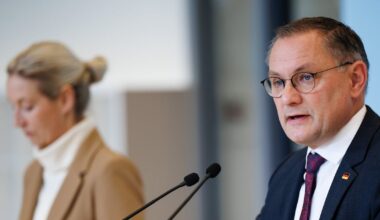 Far-right AfD leader’s remark deepens party rift in Germany – The Irish Times