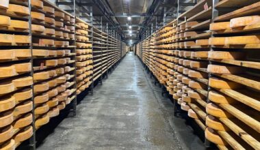 Europe’s premium cheese producers caught in global trade crossfire – POLITICO