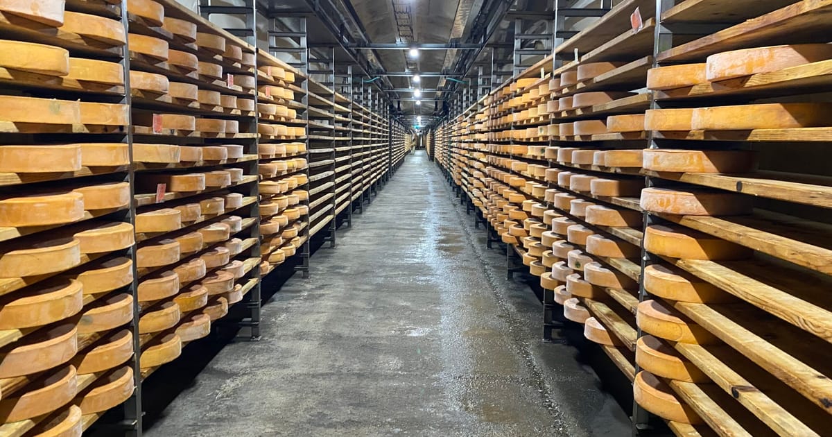 Europe’s premium cheese producers caught in global trade crossfire – POLITICO