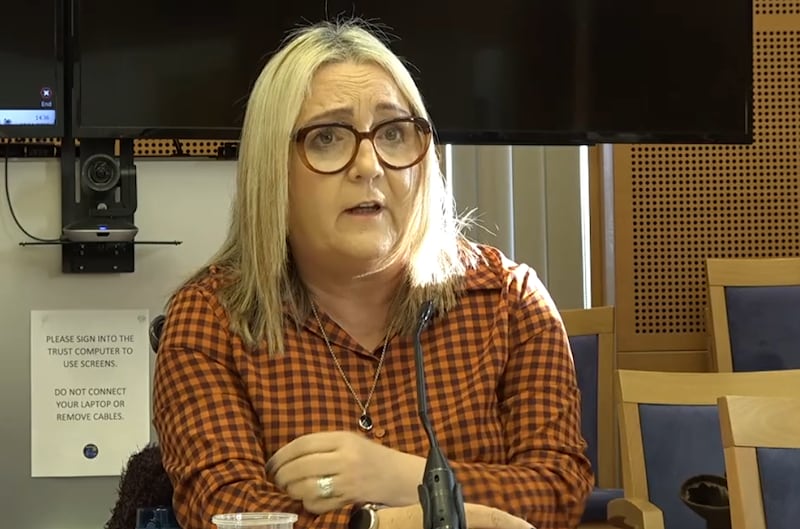 Helen Hamill from the SOAS campaign group addresses the Stormont Health Committee.