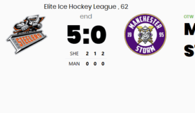 We Heard Something About A Storm? – Sheffield Steelers