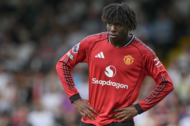 Fulham v Manchester United - Premier League