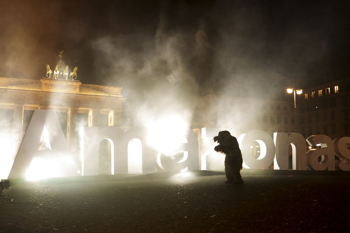 Germany slashes climate finance in blow to developing world's COP30 priority