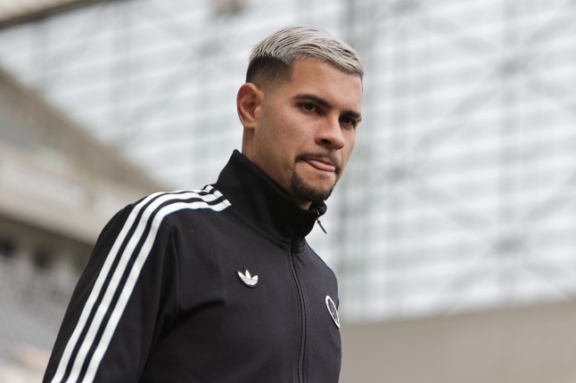 Newcastle United v Wolverhampton Wanderers - Premier League