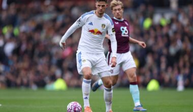 Anton Stach hits the nail on the head when predicting if Leeds United will avoid relegation