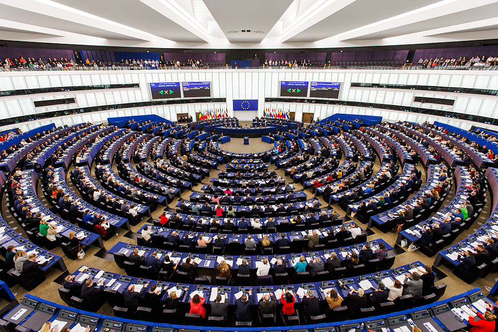 Far-right bloc in EU Parliament moves to delay, review anti-deforestation rules