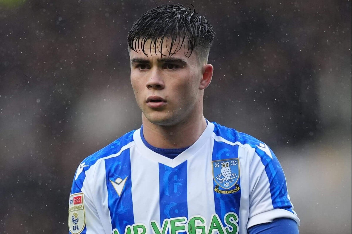 Harry Amass is winning hearts and minds at Sheffield Wednesday. So what next at Man Utd?