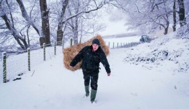 Could Britain survive a food shortage?