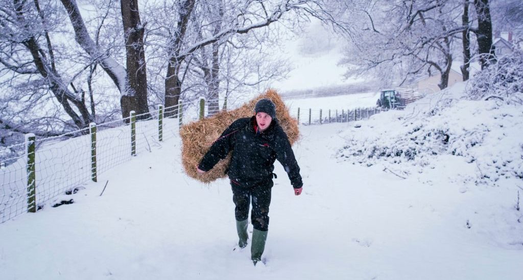 Could Britain survive a food shortage?