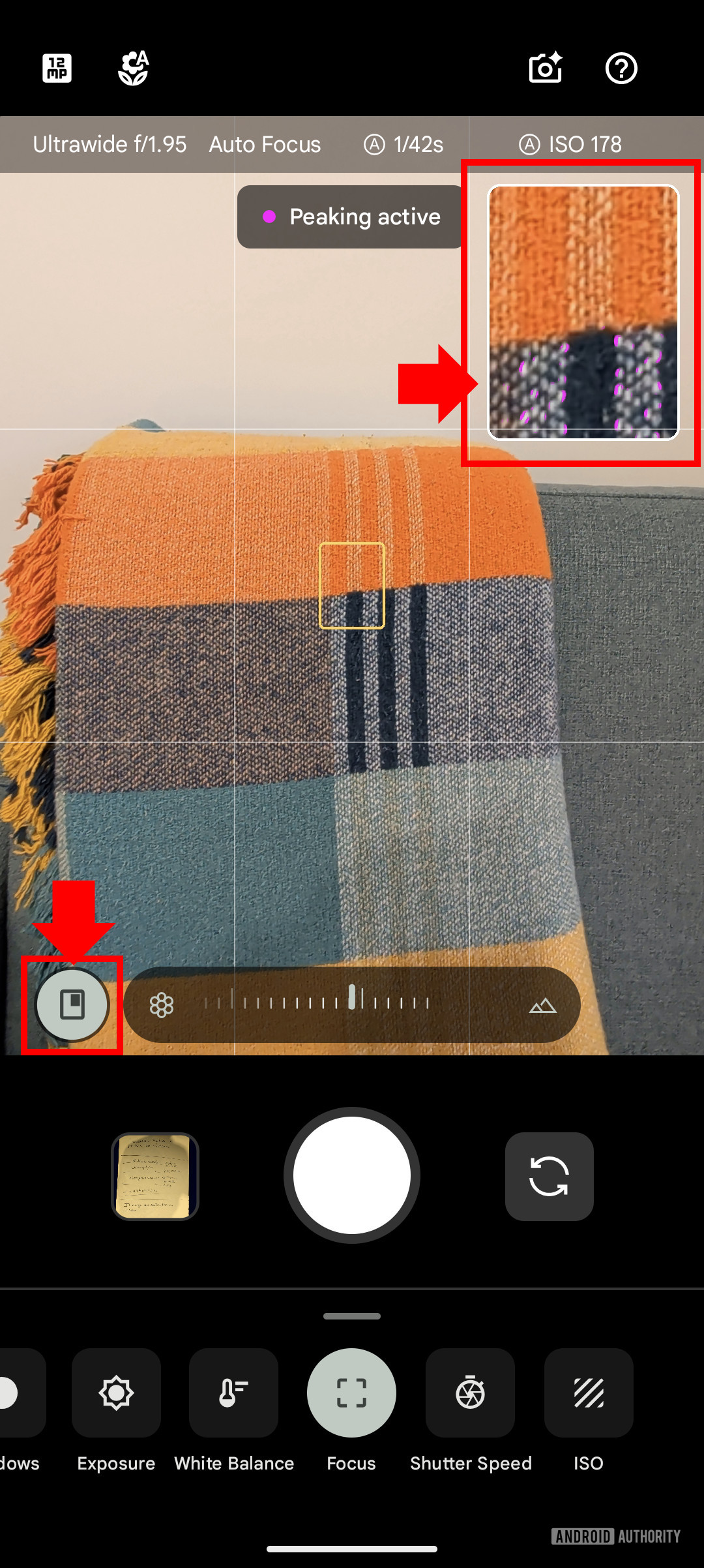 Google Pixel 10 Pro Manual focus with zoomed in viewfinder for focus peaking
