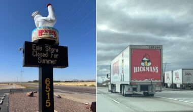 Mantiqueira USA (MTQ USA), a joint venture between a Brazilian company and food organization, annou...