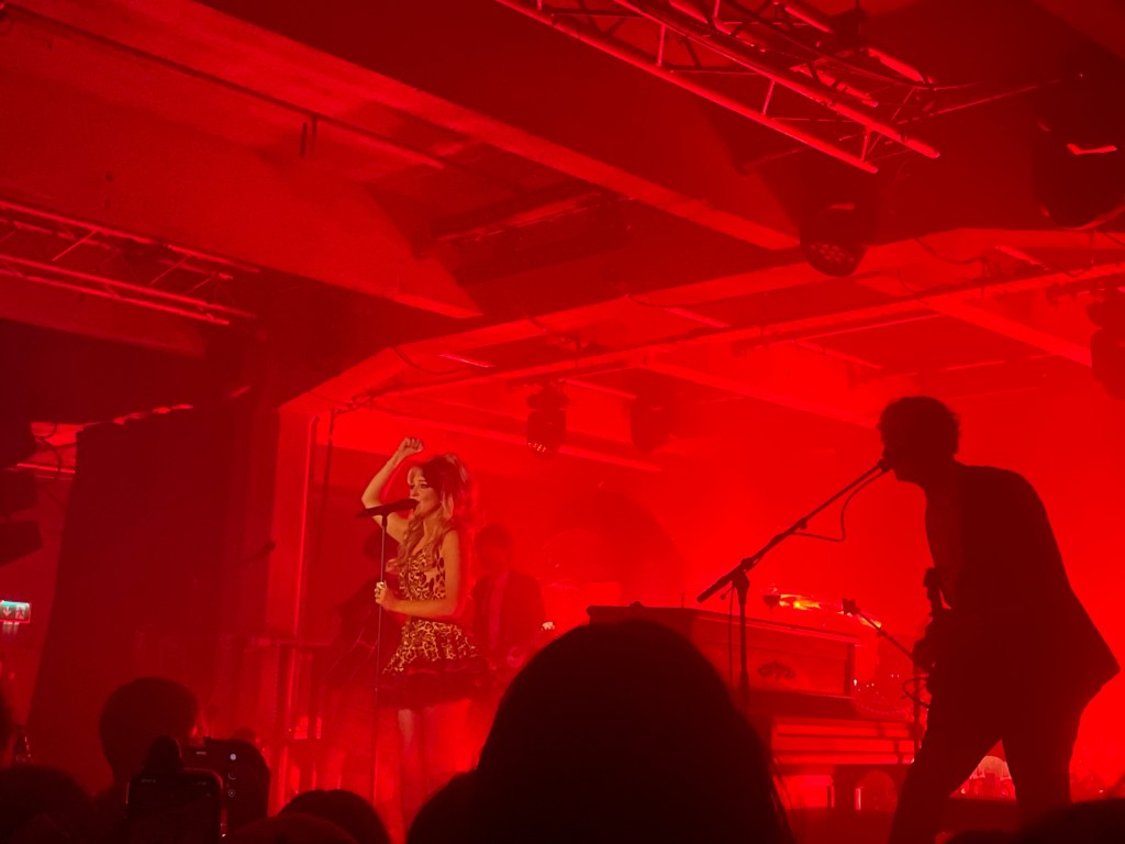 Luvcat preforming at the SWG3 