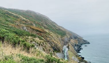 Nature-Based Exercise and Mental Well-Being: Why and How