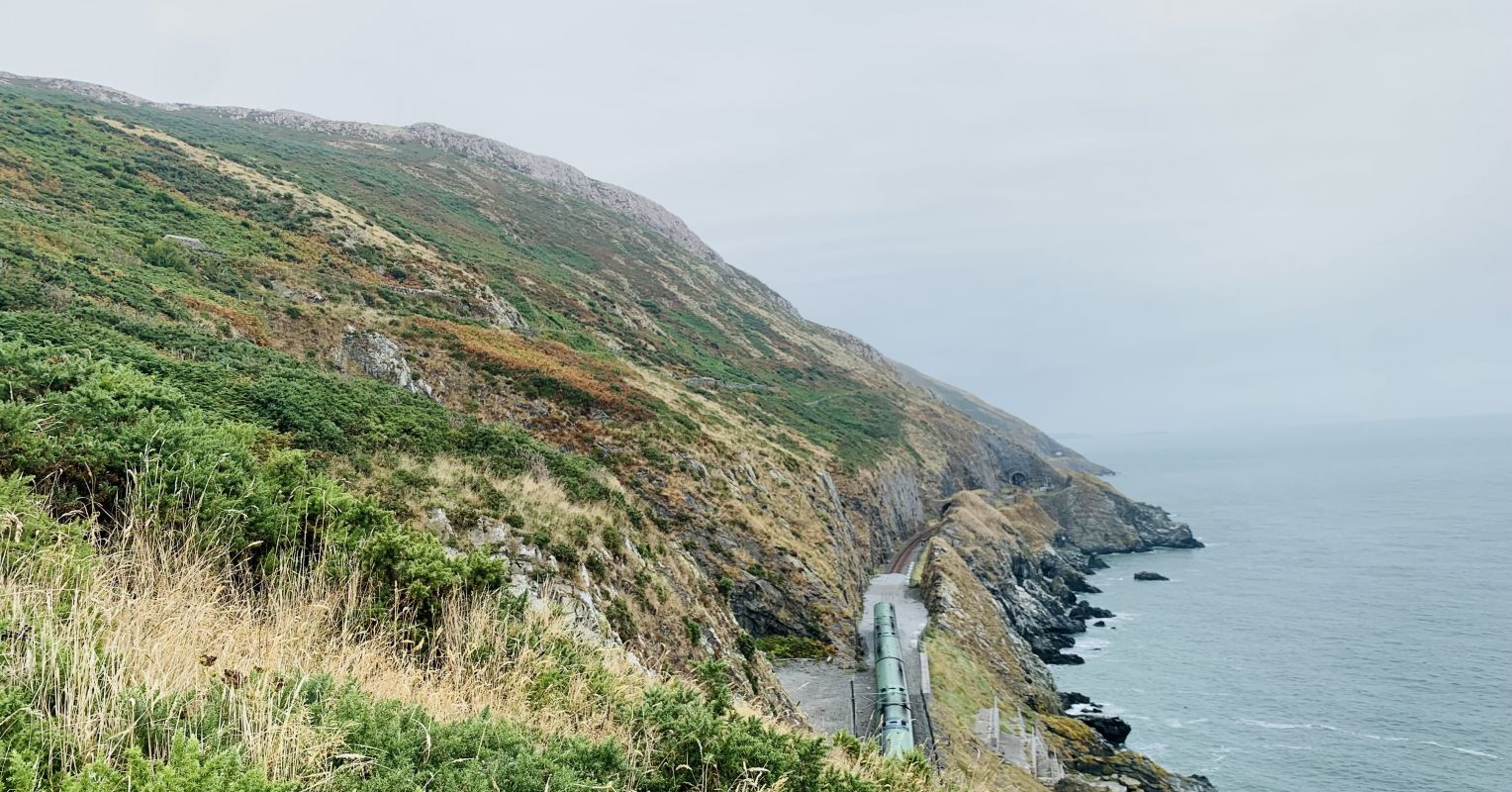 Nature-Based Exercise and Mental Well-Being: Why and How