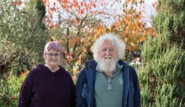 The patients improving Ireland’s health system – The Irish Times