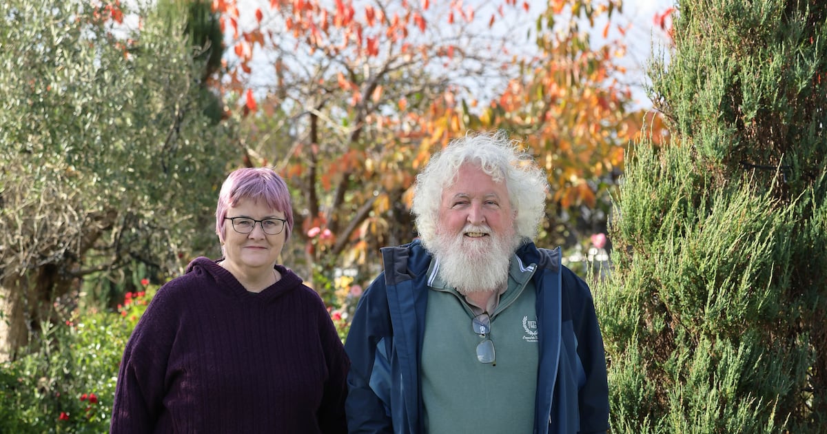 The patients improving Ireland’s health system – The Irish Times