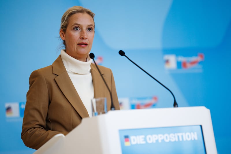 AfD co-leader Alice Weidel. Photograph: Clemens Bilan/EPA