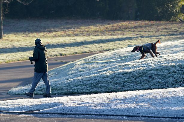 Dog walkers at the frozen lake in Sefton Park, Liverpool.