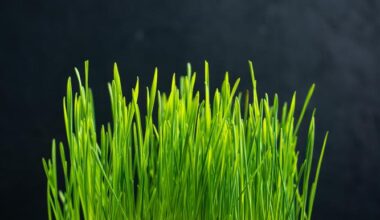 United States Native Grass Seeds Market