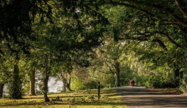 Lurgan Park: Manhunt underway after woman ‘forcibly groped’ while walking dogs in NI park