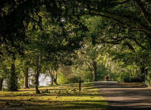 Lurgan Park: Manhunt underway after woman ‘forcibly groped’ while walking dogs in NI park