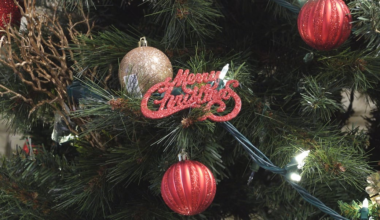 London Fire Department urges holiday celebration safety