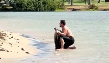 A man kneels on the sandy shore, holding a large fish upright near the water's edge, with trees and grass visible in the background.