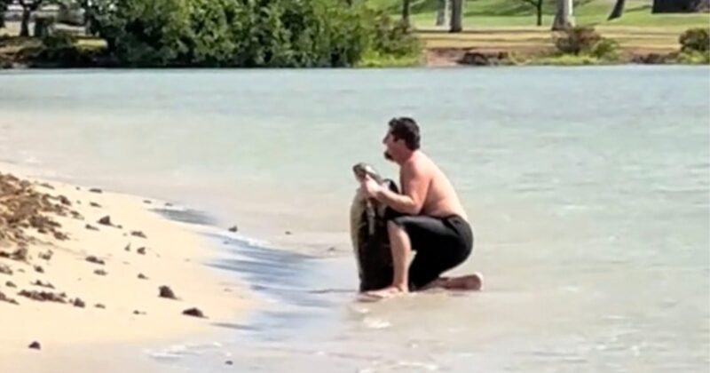 A man kneels on the sandy shore, holding a large fish upright near the water's edge, with trees and grass visible in the background.