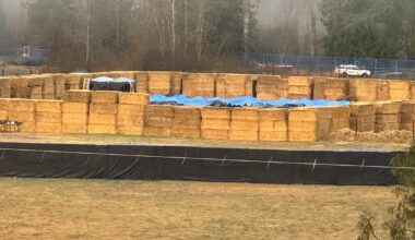 ‘Something is rotten,’ says U.S. billionaire who funded B.C. ostrich farm protests - CTV News