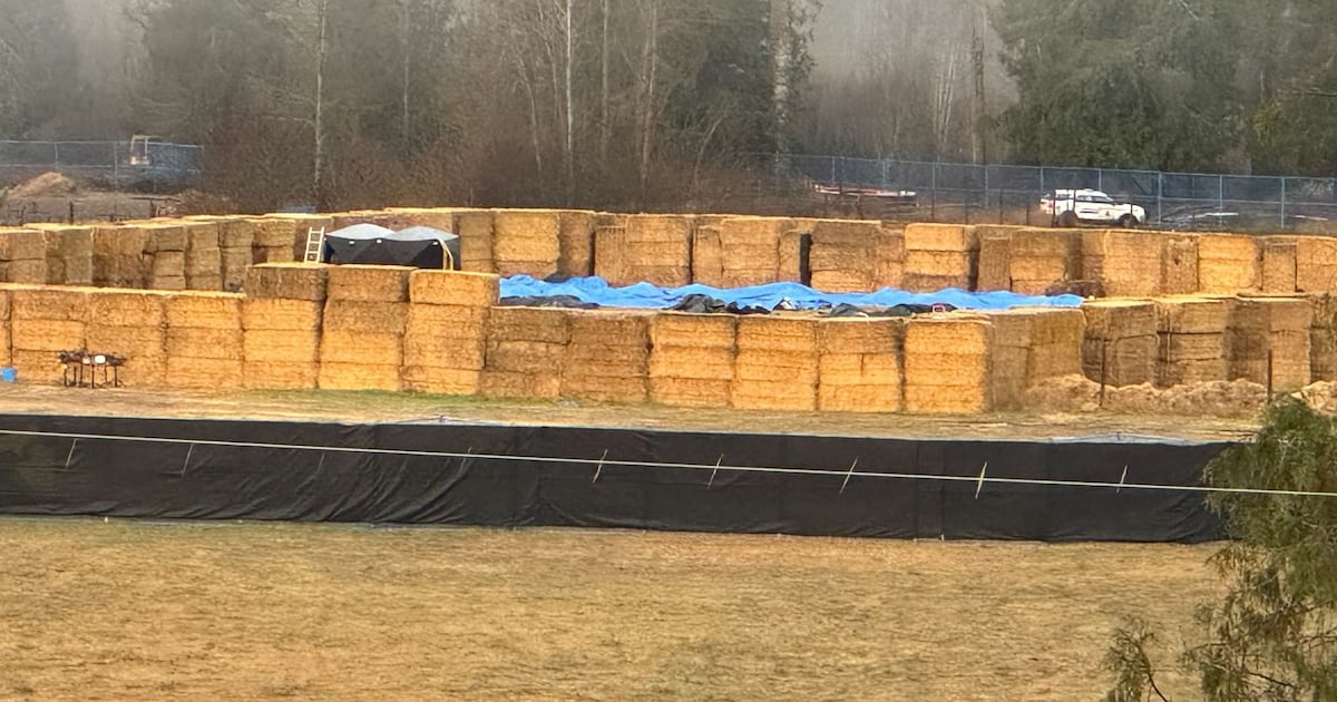 ‘Something is rotten,’ says U.S. billionaire who funded B.C. ostrich farm protests - CTV News