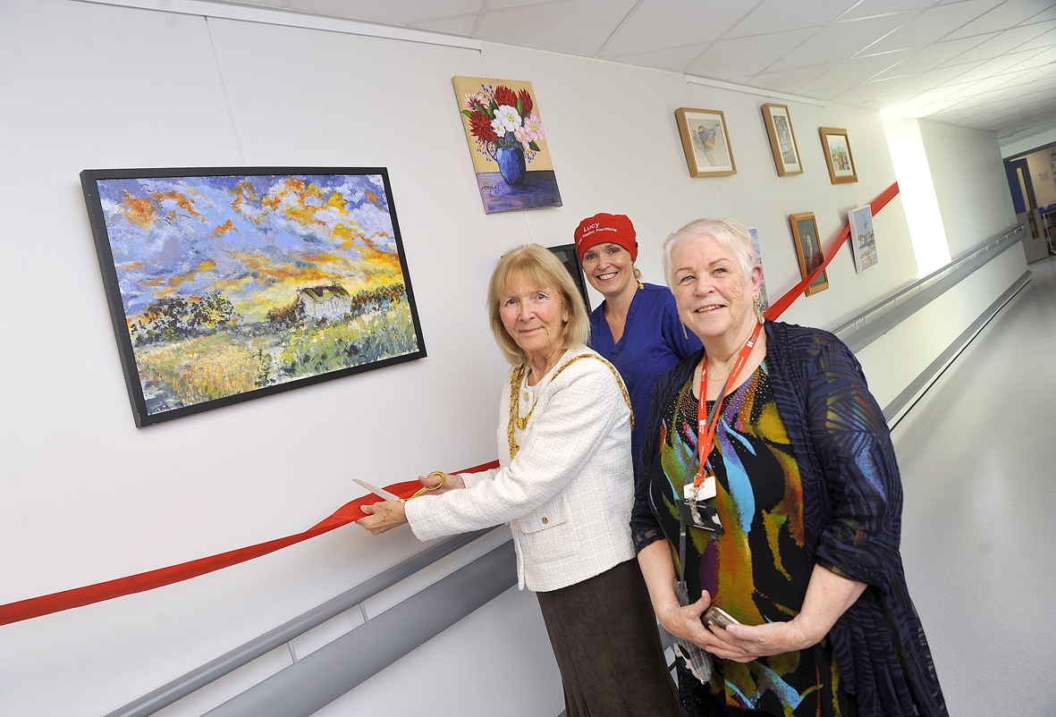 Inspirational and calming art gallery opens at Solihull Hospital