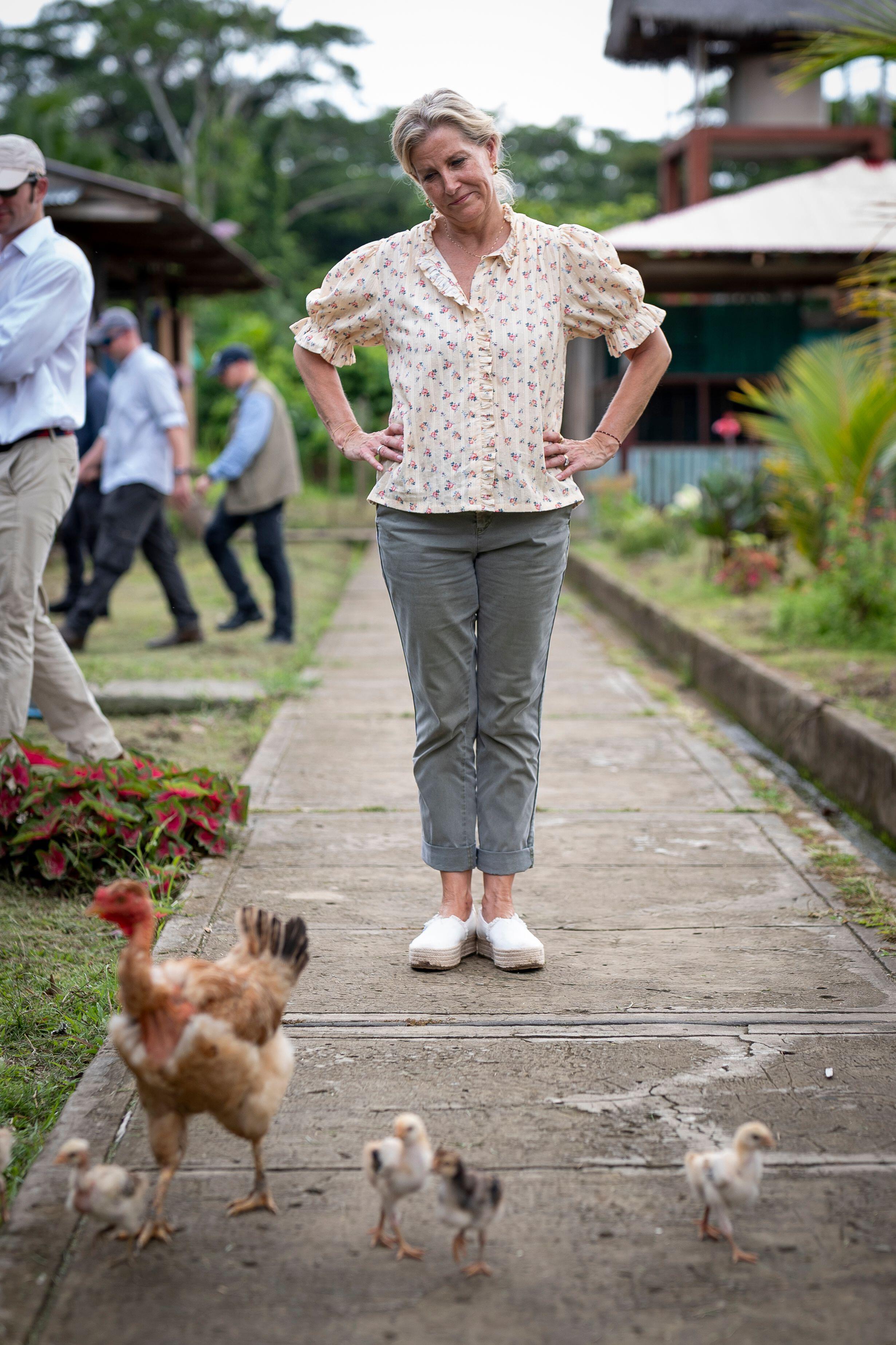 Duchess Sophie putting her hands on her hips looking down at chickens